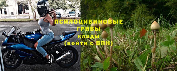 spice Михайловка