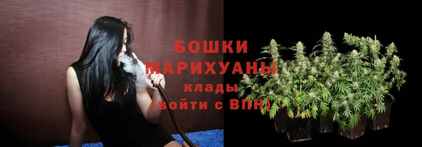 спиды Михайлов