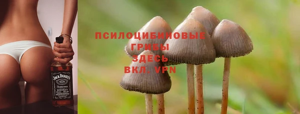 spice Михайловка