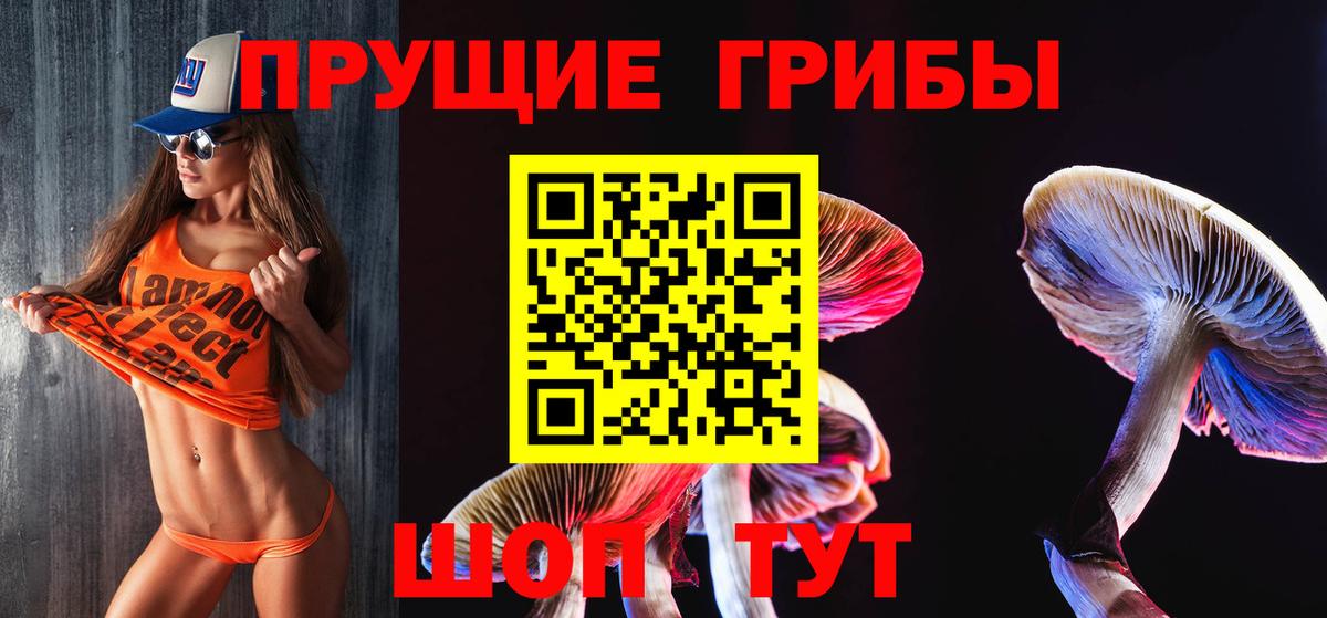 Галлюциногенные грибы Psilocybine cubensis Старая Русса