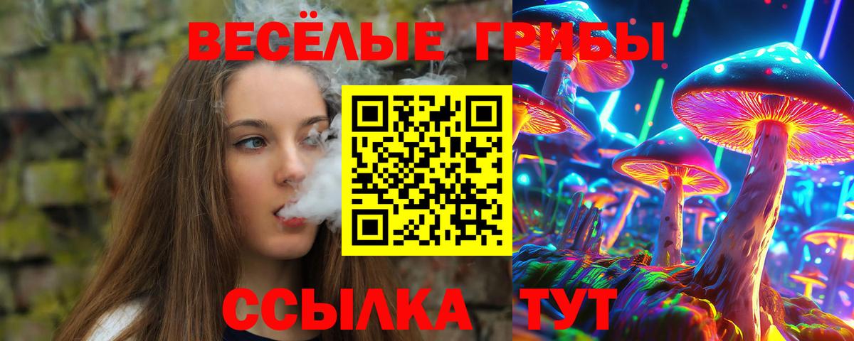 Галлюциногенные грибы мицелий  Старая Русса  Галлюциногенные грибы MAGIC MUSHROOMS 